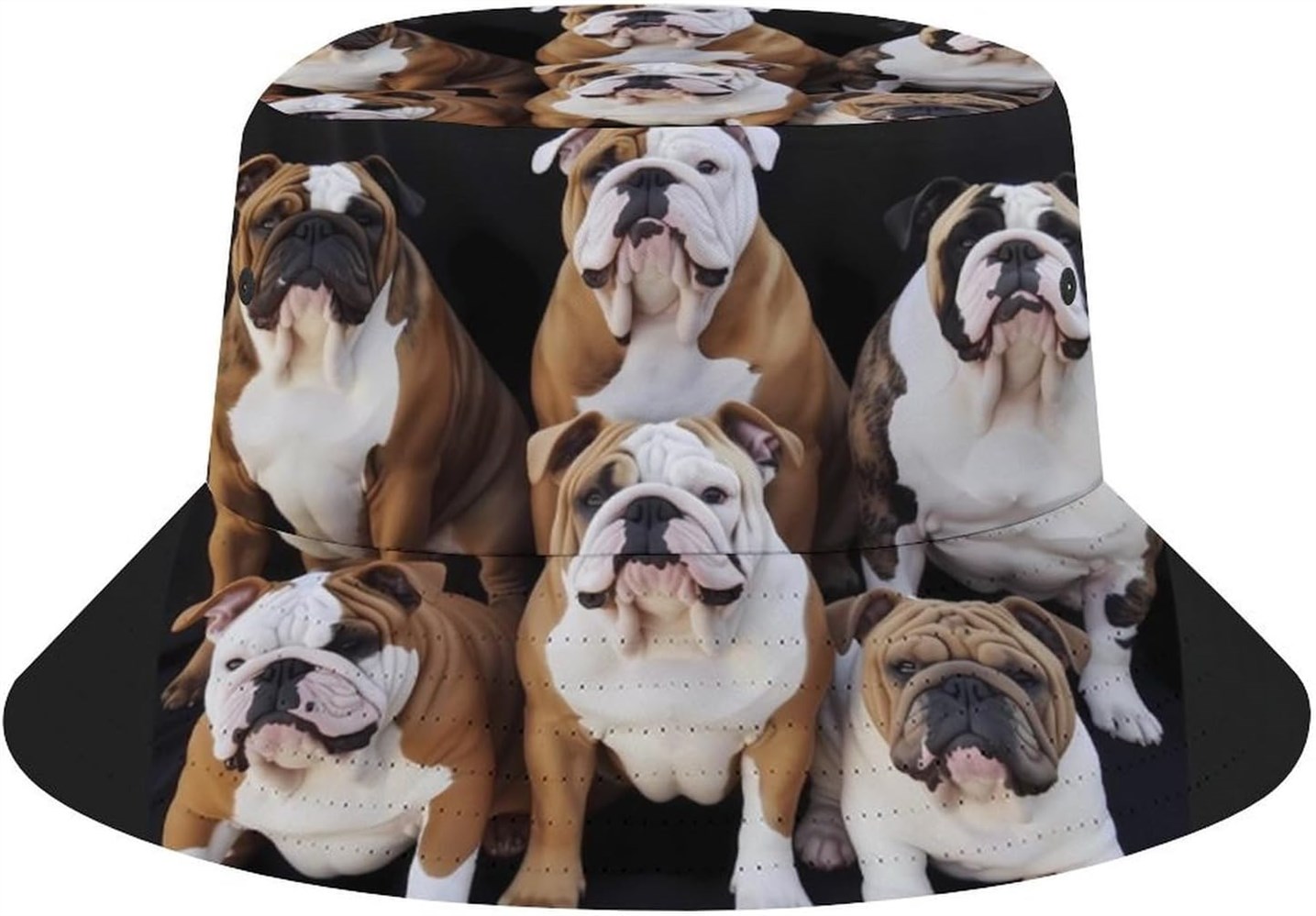 English Bulldogs Protection Fishing Fisherman – Buying Guide English Bulldogs Protection Fishing Fisherman – Buying Guide