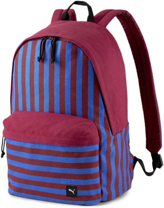 PUMA Mens Backpack Travel Casual - Buying Guide
